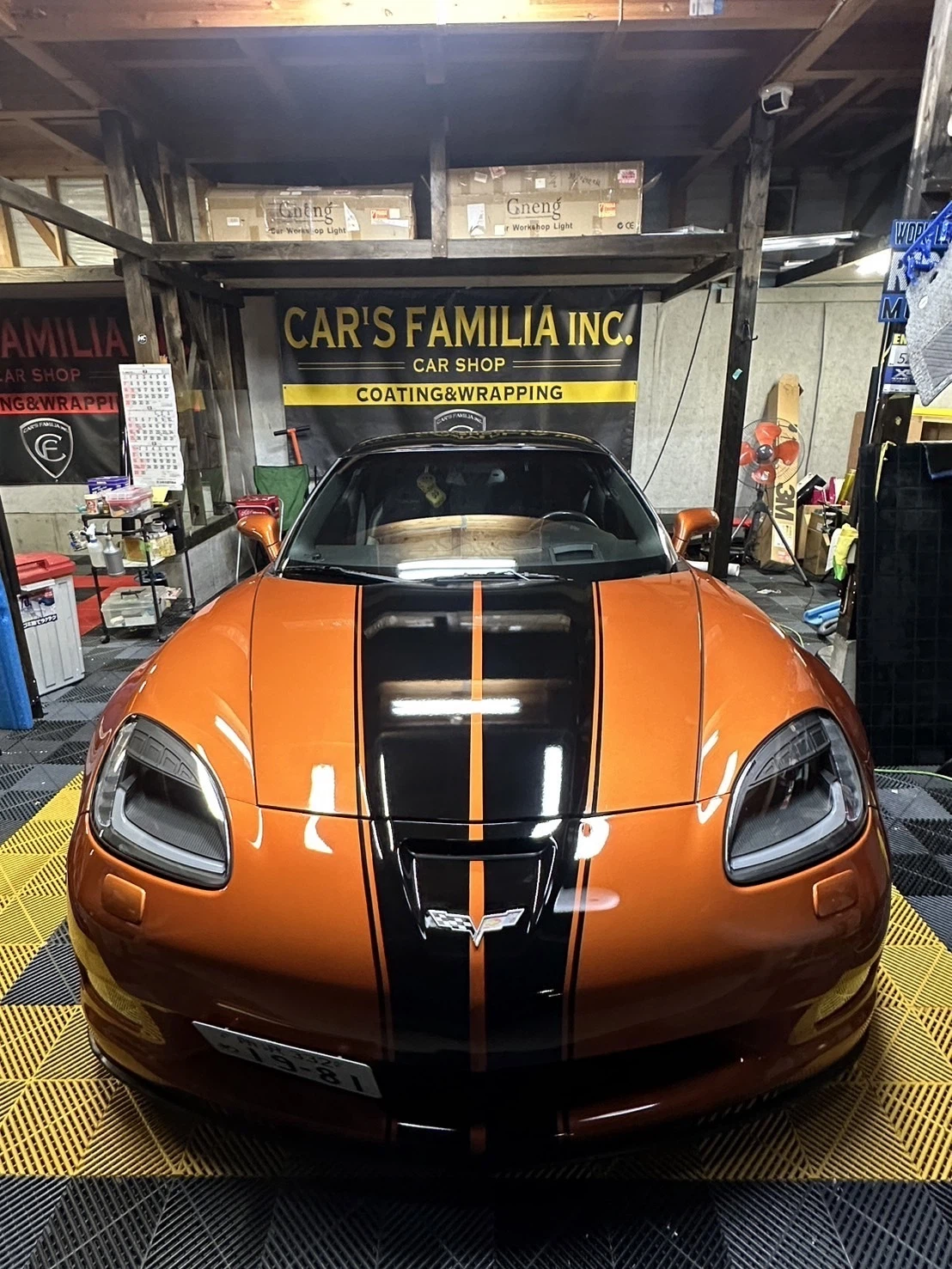 シルフィード見本表